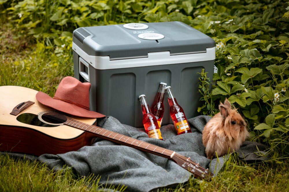 Camry Portable cooler 40 L-CR 8061 - Image 6