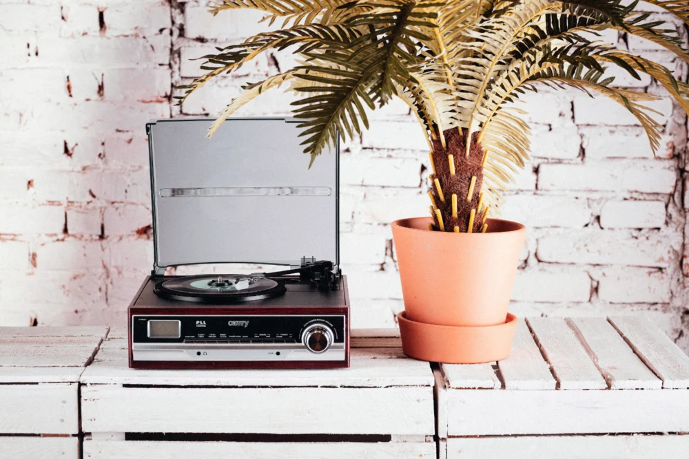 Camry Turntable with radio-CR 1113 - Image 10