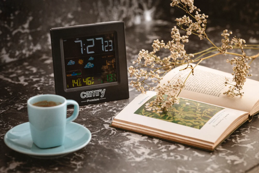 Camry Weather station-CR 1166 - Image 4