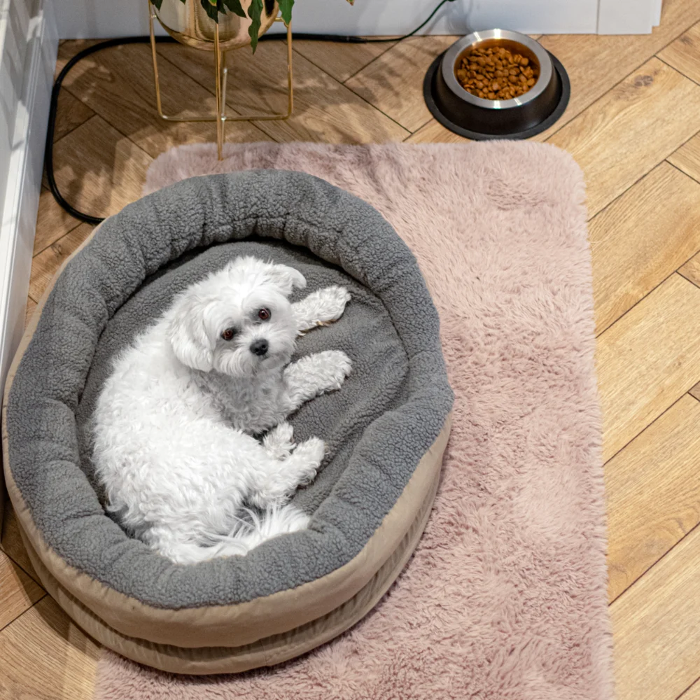 Camry Heated Den for Animals-CR 7431 - Image 5